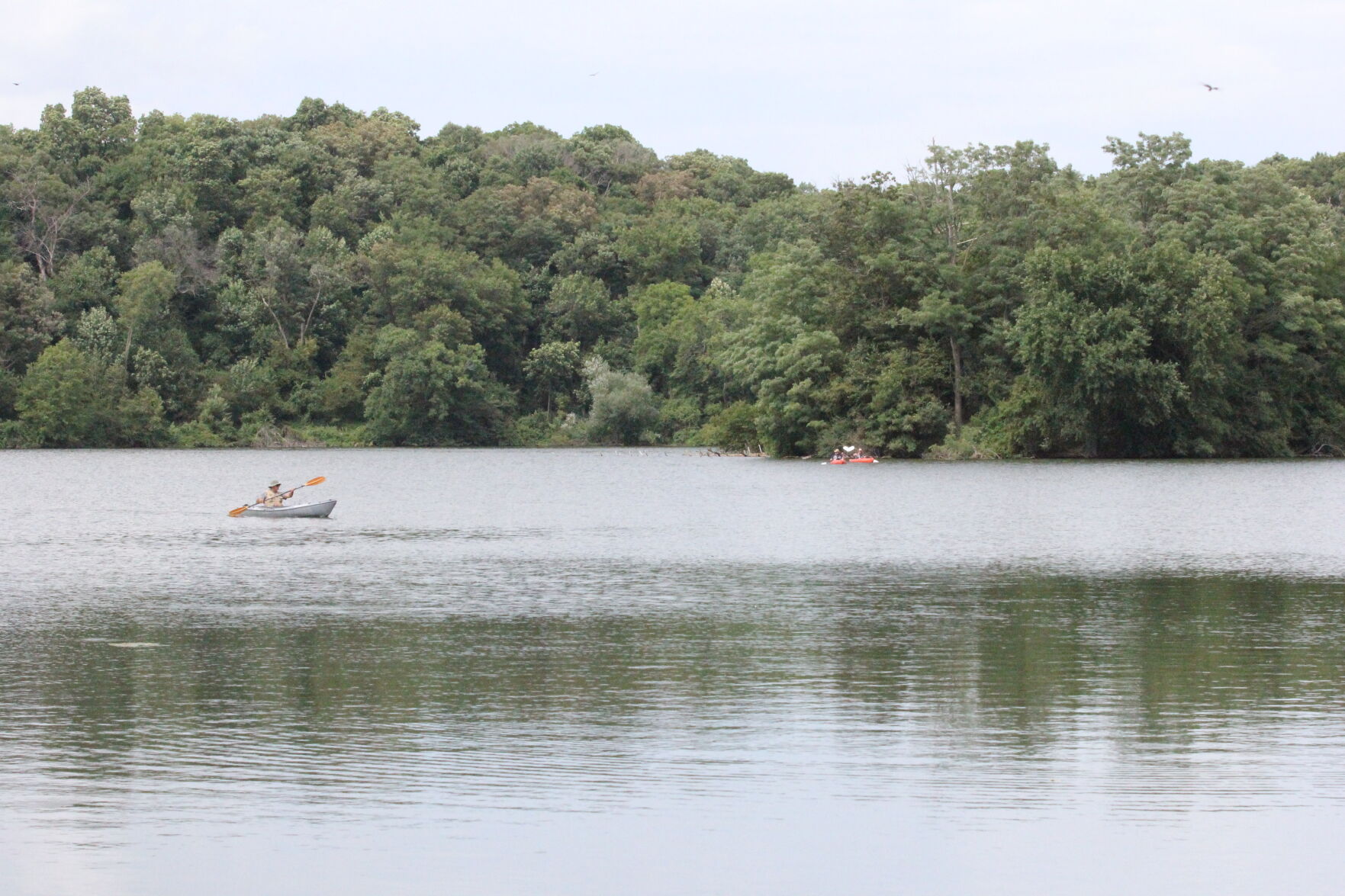 Pine_Lake_Fest_7475.JPG
